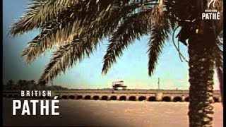 Ageless Iraq Reel 2 19501959 [upl. by Shirlie73]