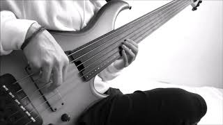 Gordian Knot  Rivers Dancing Sean Malones Bass Solo  Bass Cover [upl. by Asilehs]