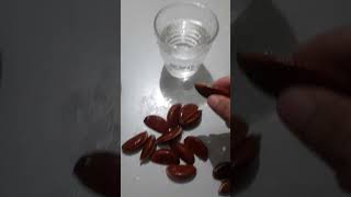 How to Germinate the Mabolo Fruit seeds from Kamagong Tree [upl. by Llednar23]