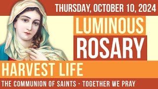 LISTEN  ROSARY THURSDAY  Theme HARVEST LIFE [upl. by Atilal162]