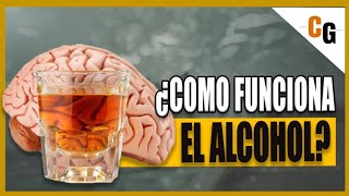 ¿Como Funciona el ETANOL  Resistencia Intoxicación y Efectos del ALCOHOL EXPLICADOS  ETANOL 12 [upl. by Asereht912]