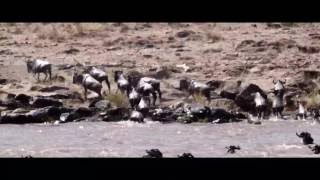 Kilima Camp Masai Mara  Trailer 2 [upl. by Teleya]