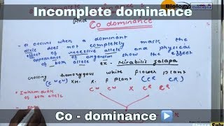 Co  dominance and Incomplete dominance in hindi ll biology ll [upl. by Kirchner]