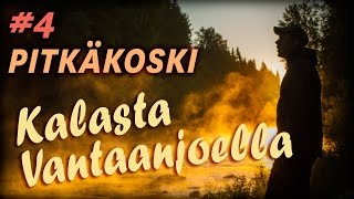 Peltsi perhokalastaa näyttävässä aamusumussa Pitkäkoskella [upl. by Ahsakal318]