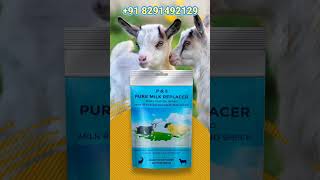 Goat milk powder [upl. by Loralie51]