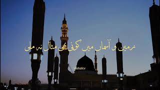 Ek din jibreel se kehne lage shahe umam  maula ya salli SlowedReverb Beautiful Naat naatsharif [upl. by Michele]