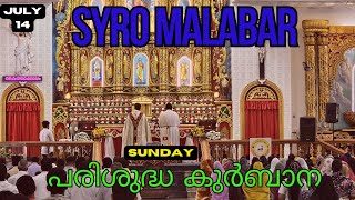 Syro Malabar Holy Mass in Malayalam  July 14 Sunday  Holy Mass Today  Syro Malabar Holy Qurbana [upl. by Ingalls]