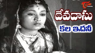 Old Songs Devadasu Movie  Kala Idhani Song  ANR  Savitri  OldSongsTelugu [upl. by Averil896]