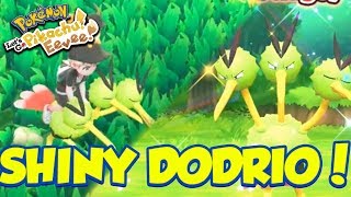 SHINY DODRIO REACTION RIDEABLE SHINY POKEMON  Pokémon Lets Go Pikachu and Lets Go Eevee [upl. by Marika]