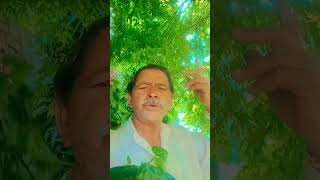 Mana Tera Aanchal hathon se abhi dur ho Arun Sharma [upl. by Atnahsa]