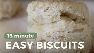 Easy Homemade Biscuit Recipe  5 ingredients 15 min  How to Make Homemade Biscuits From Scratch [upl. by Arrol]