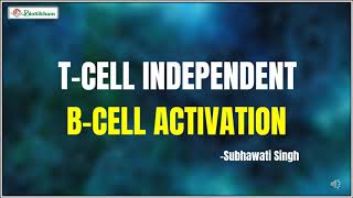 Tcell Independent Bcell Activation [upl. by Ydieh]