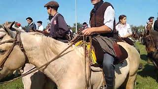 Cabalgando a quotLa Fiesta del Talar  2024quot desde la rotonda de Madariaga [upl. by Skcirdnek]