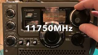 SONY ICF5900 late model FMMWSW radio receiver DX amp Sensitivity measurement [upl. by Lucius280]