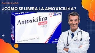 💊💉 ¿Cómo se LIBERA la Amoxicilina [upl. by Cohe]