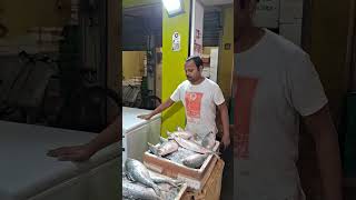 বনগাঁ নিউ মার্কেটে ইলিশ মাছের ছড়া ছড়ি yutubeshorts fishmarket ilishmaach ilishfishcutting [upl. by Adnohsak656]