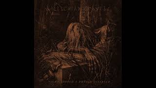 Wallachian Cobwebs  Night Sobbed a Potion Diseased Dark Ambient  Full Album [upl. by Zoie420]