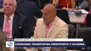 Por qué PRIVATIZAR AEROLINEAS Argentinas Martín Simonetta en Cámara de Diputados [upl. by Llibyc]