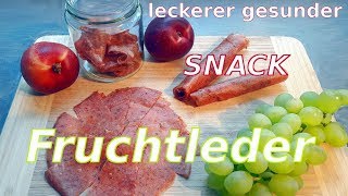 Fruchtleder selber machen I leckere gesunde Süssigkeit  Snack  2 Varianten [upl. by Ylam829]