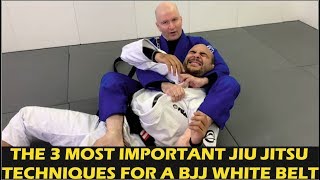 The 3 Most Important Jiu Jitsu Techniques For A BJJ White Belt by John Danaher [upl. by Orgel]