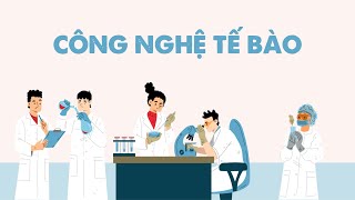 Công nghệ tế bào phần 2  Sinh học 10  OLMVN [upl. by Pamela]