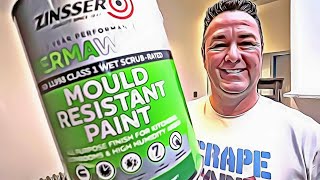 Why we love Zinsser PermaWhite mould resistant paint [upl. by Sedaiuqlem882]