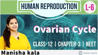 Ovarian Cycle  L 6  Human Reproduction  Class 12  NEET [upl. by Enos]