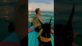 Dobies Bark at the Moon paddleboardingkayaking dobermanpinscherHawaiiShortsFullMoonmoonrise [upl. by Eeralih]