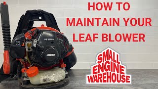 How to Maintain Your Leaf Blower [upl. by Repotsirhc13]