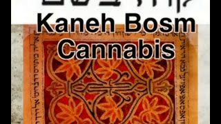 Kaneh Bosm The Hidden Story of Cannabis in the Old Testament [upl. by Anirpas]