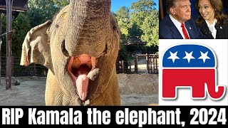 Kamala the elephants death four days before the 2024 election a reminder about Satanism amp the GOP [upl. by Georg]