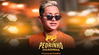 PEDRINHO PISADINHA CD 2023  PEDRIN PISADINHA REP ATUALIZADO ABRIL PROMOCIONAL 2023 MUSICAS NOVAS [upl. by Haelhsa]