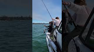 Kids Catching Rockfish Off the Boat rockfish [upl. by Ahsel825]