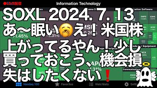 【Vlog306】2024713 米国株最新チャート分析 半導体 ナスダック100 NYダウ SampP500 ラッセル2000 オルカン 全米 FANG＋金融 エネルギー ゴールド ビットコイン [upl. by Uzziel]