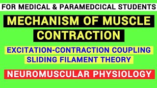 EXCITATION  CONTRACTION COUPLING  SLIDING FILAMENT THEORY  NEUROMUSCULAR SYSTEM  PHYSIOLOGY [upl. by Mariejeanne29]