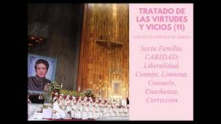 Virtudes de Caridad Tratado de las Virtudes y Vicios 11 Conchita Cabrera [upl. by Gerge]