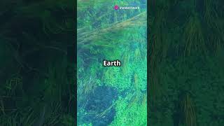 Unveiling the Hidden Wonders The Secret Life of Earth  Professional Documentary [upl. by Ayamahs]