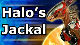 Halo CE LEGENDARY NO DEATHS Walkthrough ► Mission 2 Halo [upl. by Helsie]