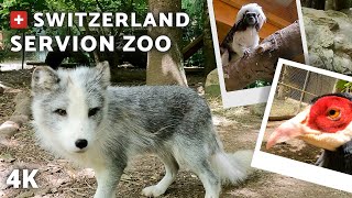 4K SERVION ZOO  SWITZERLAND [upl. by Laural]