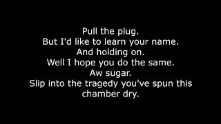 My Chemical Romance  The Jetset Life Is Gonna Kill You Lyrics [upl. by Lambert455]