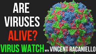 Are Viruses Alive [upl. by Bernstein]