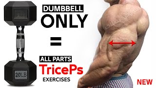 TRICEPS Exercises WITH DUMBBELLS AT HOME AND GYM [upl. by Piero]