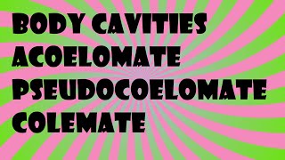 Biology Body Cavities Acoelomate Pseudocoelomate Colemate [upl. by Oisangi]