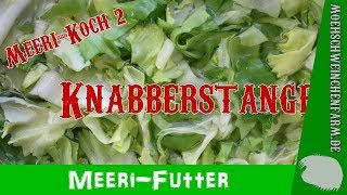 DIY Meerschweinchen Knabberstange  selbstgemacht und gesund [upl. by Casta]