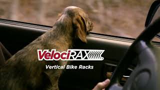 VelociRAX Hitch Bike Rack  Solo Adventure with Puppy [upl. by Ellwood]