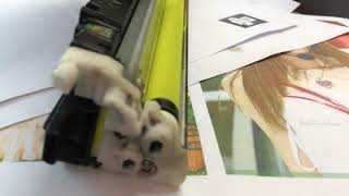 HP LaserJet CP1025 replace new toner cartridges print not clear [upl. by Ahsieyk]