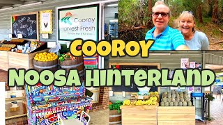 COOROY I Noosa Hinterland Queensland Australia Travel Vlog 130 2022 [upl. by Bibi467]