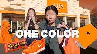 BUYING Everything in ONE COLOR for my SISTER NO BUDGET 😱 [upl. by Eelrihs]