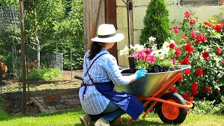 Rainy June day Slow life in a cozy country house Baking and sewing Gardening in the forest [upl. by Elberfeld]