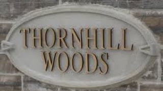 Город в котором я живу Thornhill Woods neighbourhood Vaughan GTA Toronto Canada [upl. by Inesita366]